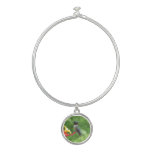 Ruby-Throated Hummingbird Bird Photography Bangle Bracelet