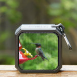 Ruby-Throated Hummingbird Bird Photography Bluetooth Speaker