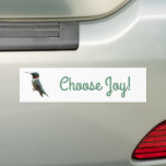 Ruby-Throated Hummingbird Bird Photography Bumper Sticker