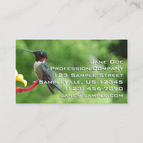 Ruby_Throated Hummingbird Bird Photography Business Card