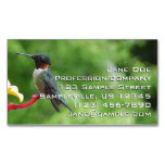 Ruby-Throated Hummingbird Bird Photography Business Card Magnet