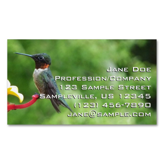 Ruby-Throated Hummingbird Bird Photography Business Card Magnet (Front)