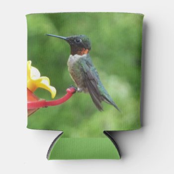 Ruby-throated Hummingbird Bird Photography Can Cooler by mlewallpapers at Zazzle