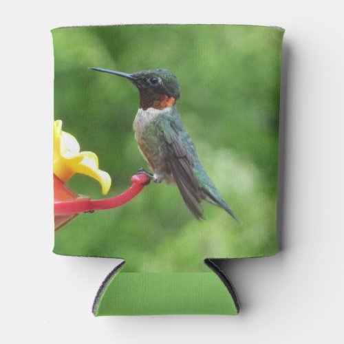 Ruby_Throated Hummingbird Bird Photography Can Cooler