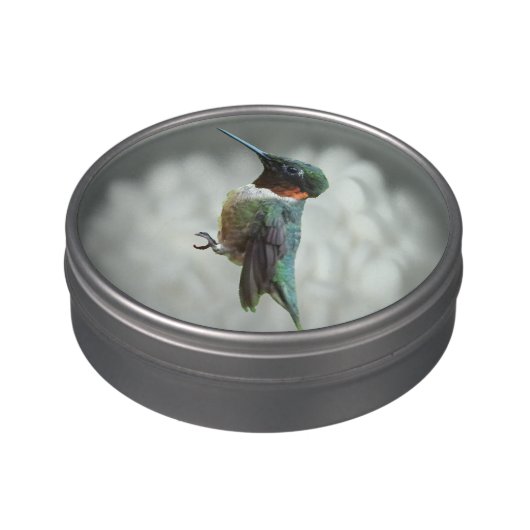 Ruby-Throated Hummingbird Bird Photography Candy Tin (Side)