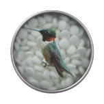 Ruby-Throated Hummingbird Bird Photography Candy Tin