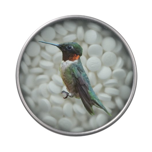 Ruby-Throated Hummingbird Bird Photography Candy Tin (Top)