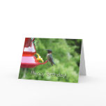Ruby-Throated Hummingbird Bird Photography Card