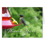 Ruby-Throated Hummingbird Bird Photography Card