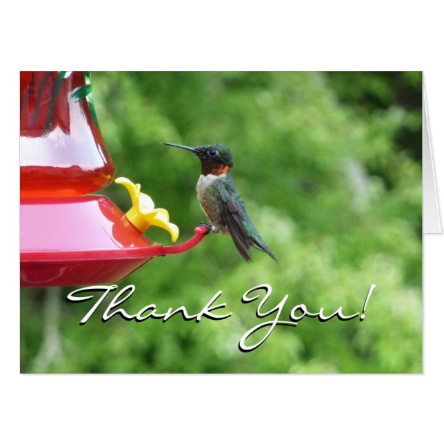 Ruby-Throated Hummingbird Bird Photography Card (Front Horizontal)