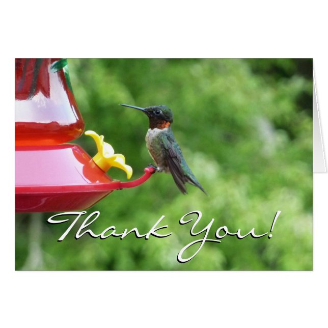 Ruby-Throated Hummingbird Bird Photography Cards (Front Horizontal)