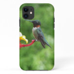 Ruby-Throated Hummingbird Bird Photography iPhone 11 Case