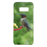Ruby-Throated Hummingbird Bird Photography Case-Mate Samsung Galaxy S8 Case