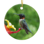 Ruby-Throated Hummingbird Bird Photography Ceramic Ornament