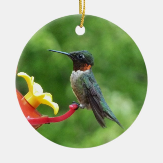 Ruby-Throated Hummingbird Bird Photography Ceramic Ornament (Front)