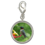 Ruby-Throated Hummingbird Bird Photography Charm