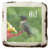 Ruby-Throated Hummingbird Bird Photography Chocolate Brownie (Front)