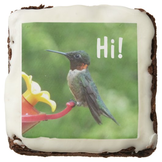 Ruby-Throated Hummingbird Bird Photography Chocolate Brownie (Front)