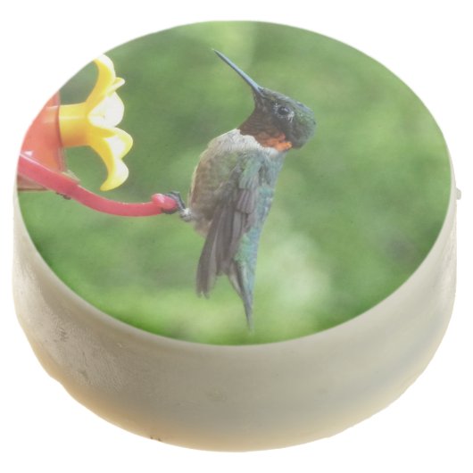 Ruby-Throated Hummingbird Bird Photography Chocolate Covered Oreo (Angled)