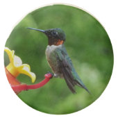 Ruby-Throated Hummingbird Bird Photography Chocolate Covered Oreo (Front)