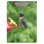 Ruby-Throated Hummingbird Bird Photography Clipboard