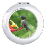 Ruby-Throated Hummingbird Bird Photography Compact Mirror