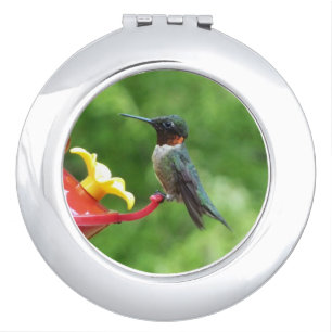 Ruby-Throated Hummingbird Bird Photography Compact Mirror