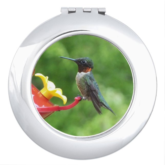 Ruby-Throated Hummingbird Bird Photography Compact Mirror (Front)