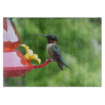 Ruby-Throated Hummingbird Bird Photography Cutting Board