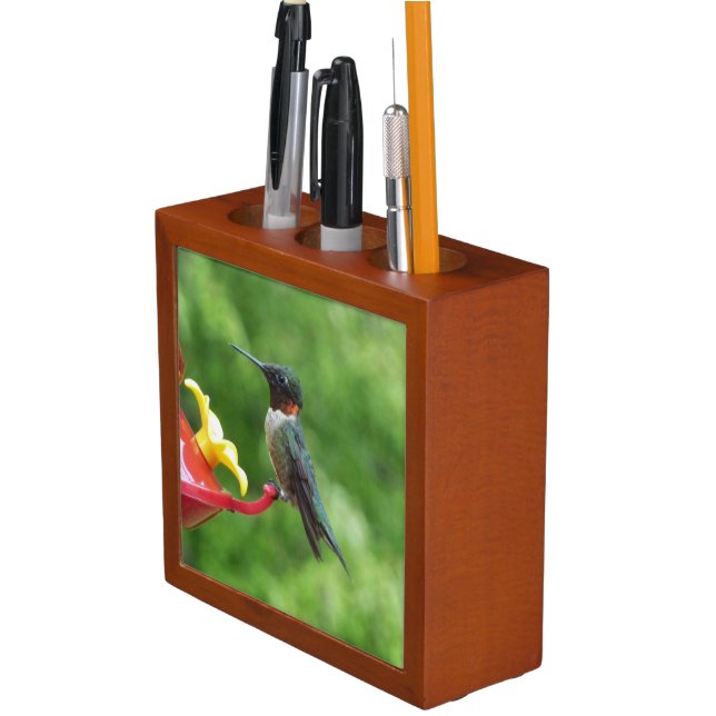 Ruby-Throated Hummingbird Bird Photography Desk Organizer (In Situ)