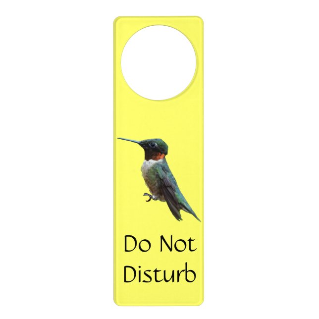 Ruby-Throated Hummingbird Bird Photography Door Hanger (Front)