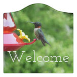 Ruby-Throated Hummingbird Bird Photography Door Sign