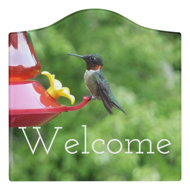 Ruby-Throated Hummingbird Bird Photography Door Sign (Large Crest Front)