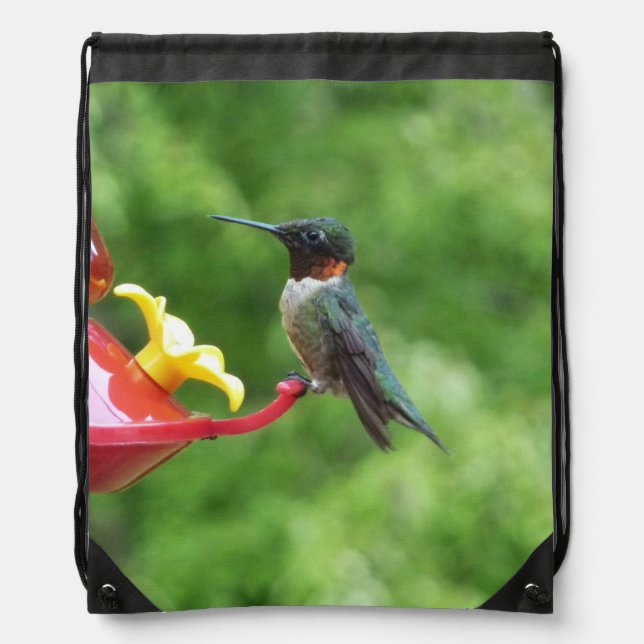 Ruby-Throated Hummingbird Bird Photography Drawstring Bag (Front)