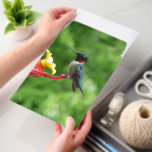 Ruby-Throated Hummingbird Bird Photography Envelope Mailers