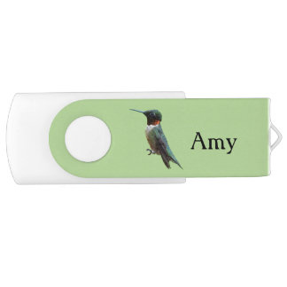 Ruby-Throated Hummingbird Bird Photography Flash Drive