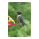 Ruby-Throated Hummingbird Bird Photography Garden Flag