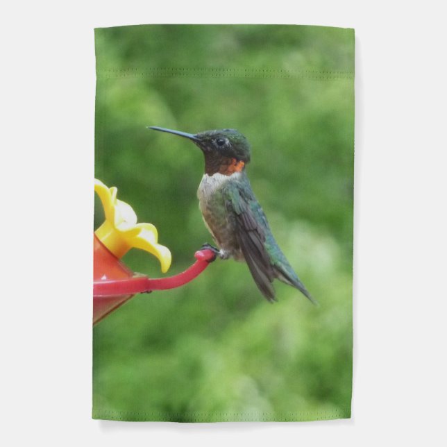 Ruby-Throated Hummingbird Bird Photography Garden Flag (Front)