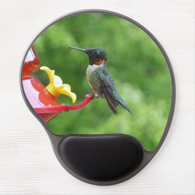 Ruby-Throated Hummingbird Bird Photography Gel Mouse Pad (Front)