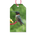 Ruby-Throated Hummingbird Bird Photography Gift Tags