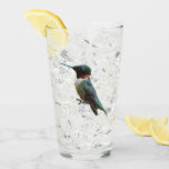 Ruby-Throated Hummingbird Bird Photography Glass