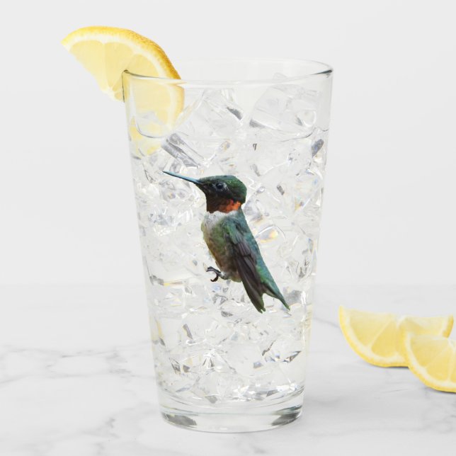 Ruby-Throated Hummingbird Bird Photography Glass (Front Ice)