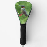 Ruby-Throated Hummingbird Bird Photography Golf Head Cover