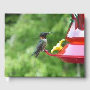 Ruby-Throated Hummingbird Bird Photography Guest Book