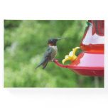 Ruby-Throated Hummingbird Bird Photography Guest Book