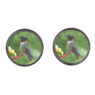 Ruby-Throated Hummingbird Bird Photography Gunmetal Finish Cufflinks
