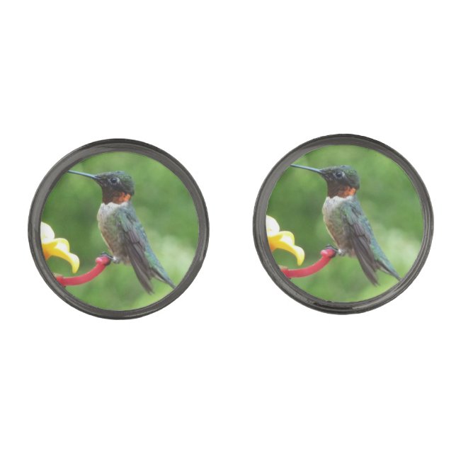Ruby-Throated Hummingbird Bird Photography Gunmetal Finish Cufflinks (Front)