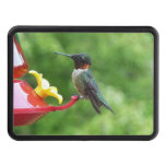 Ruby-Throated Hummingbird Bird Photography Hitch Cover