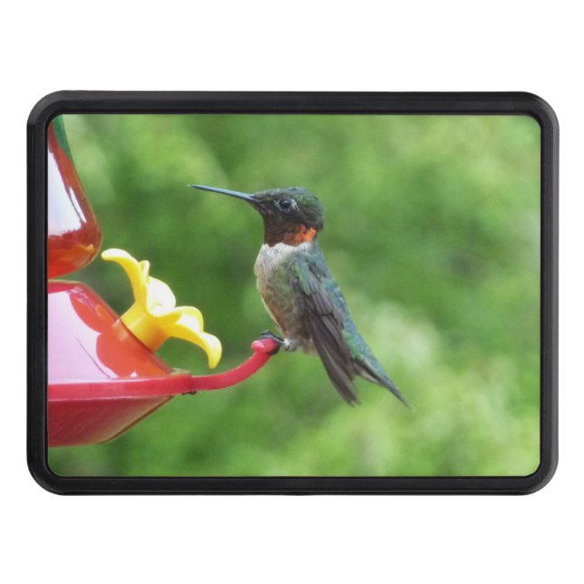 Ruby-Throated Hummingbird Bird Photography Hitch Cover (Front)