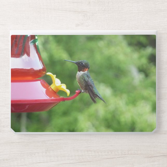 Ruby-Throated Hummingbird Bird Photography HP Laptop Skin (Front)